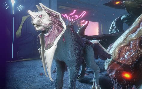 penjaga polarity|how to get a Predasite Pet in Warframe .